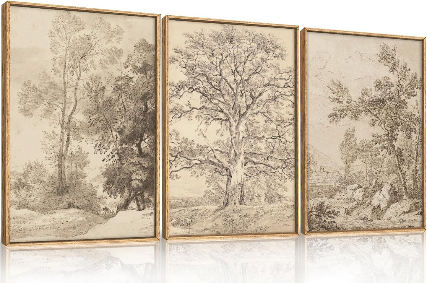 Vintage Botanical Tree Sketch Wall Art Set - Framed Neutral Nature Canvas Prints