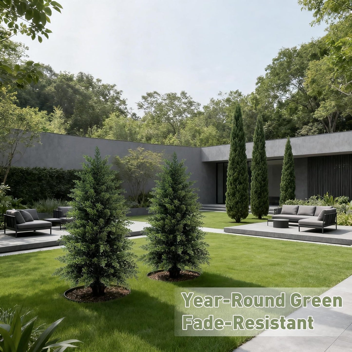 Elevate Your Entryway with Timeless Cedar Topiary Trees