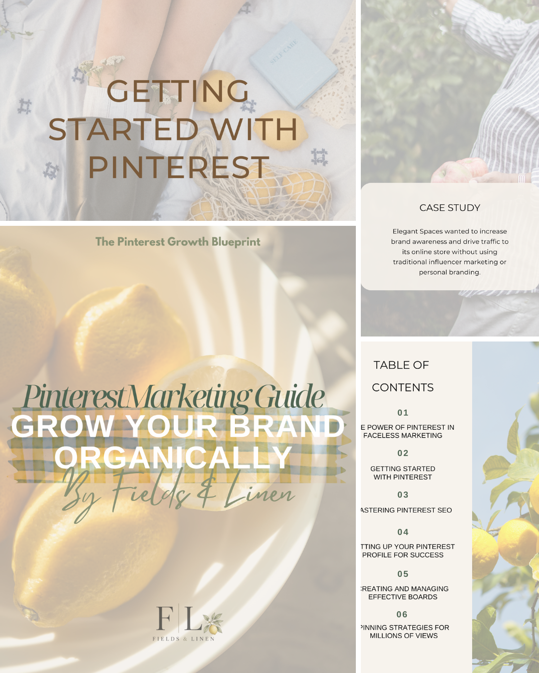 Pinterest Growth Blueprint | Pinterest Marketing Guide for Small Business
