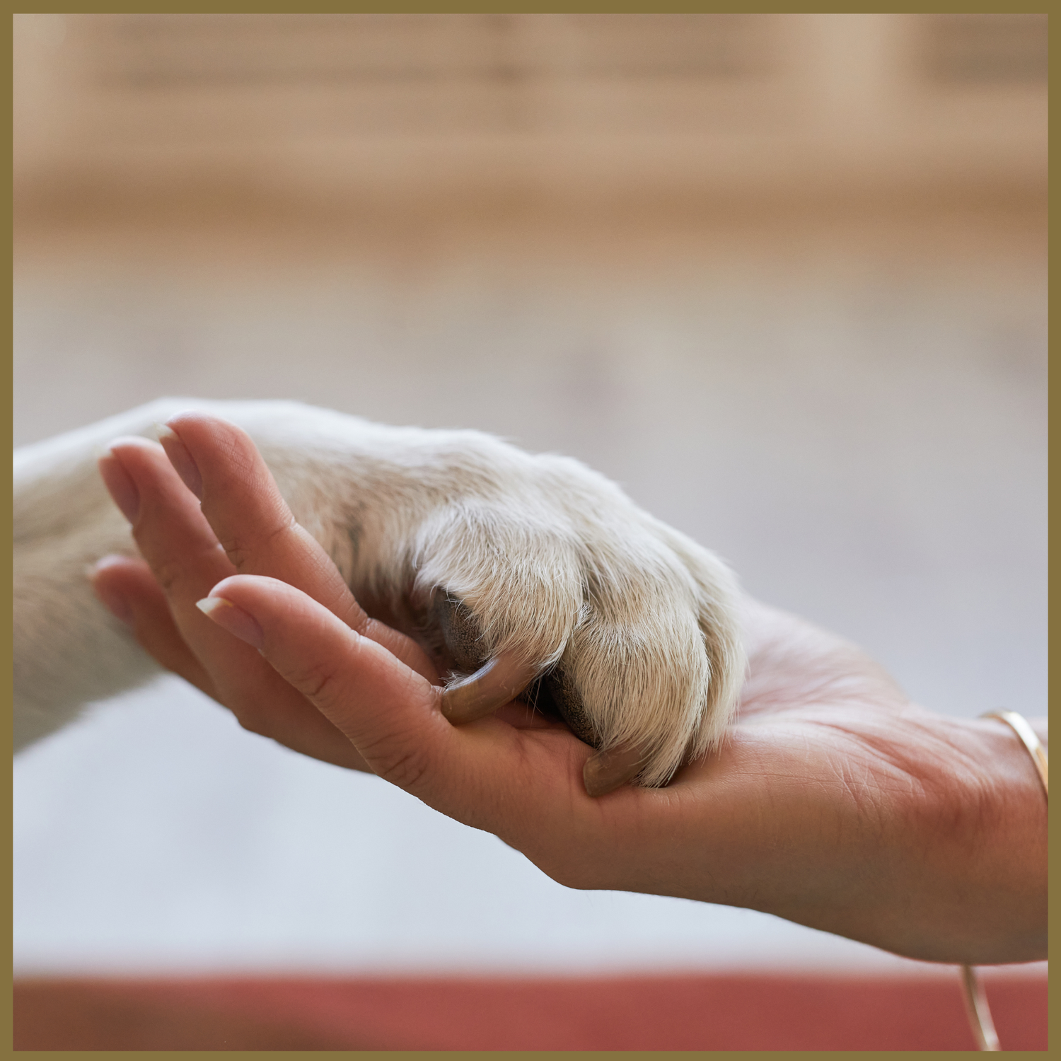 Pet Essentials