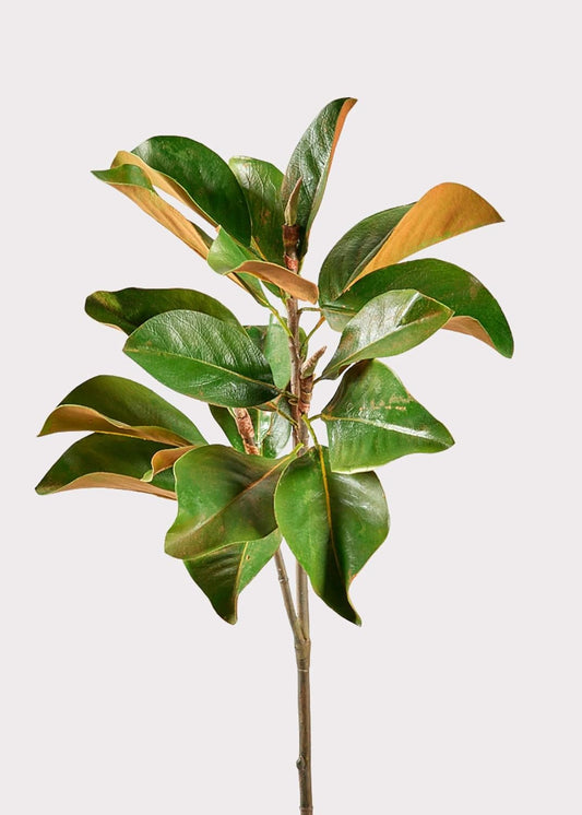 41" Fuax Magnolia Leaf Branch | Realistic Artifical Greenery for Farmhouse & Traditional Home Decor