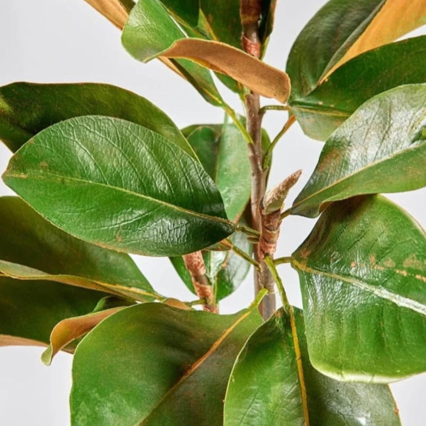 41" Fuax Magnolia Leaf Branch | Realistic Artifical Greenery for Farmhouse & Traditional Home Decor