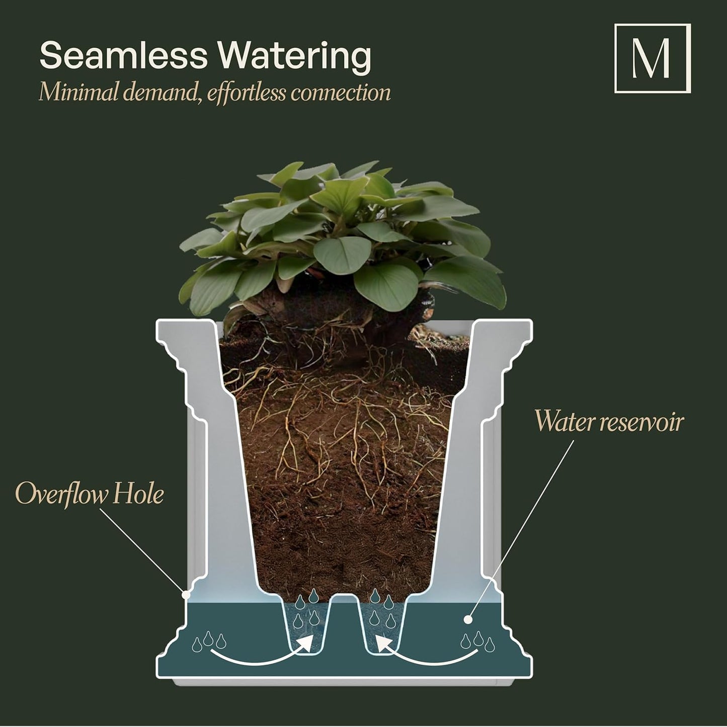 Classic White Cape Cod Planter | Elegant Outdoor Planter for Porch, Patio & entry way