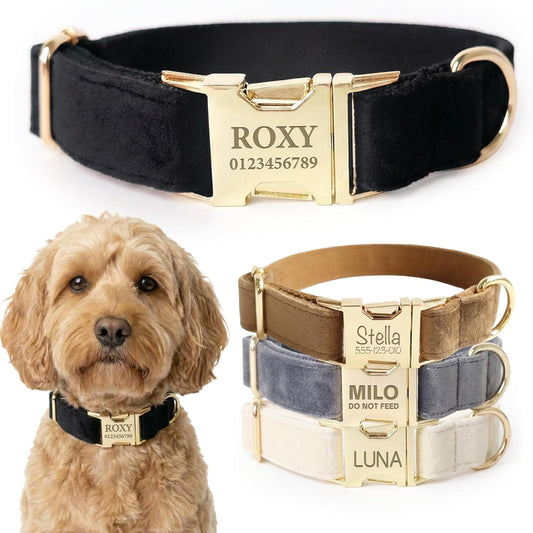 Personalized Engraved Velvet Dog Collar | custom Name Plate Collar