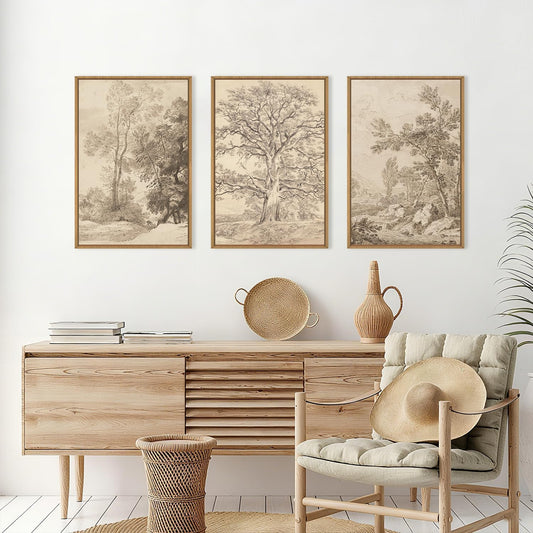 Vintage Botanical Tree Sketch Wall Art Set - Framed Neutral Nature Canvas Prints