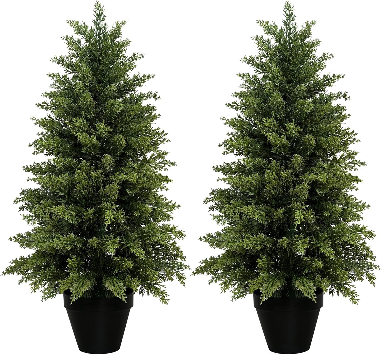 Elevate Your Entryway with Timeless Cedar Topiary Trees